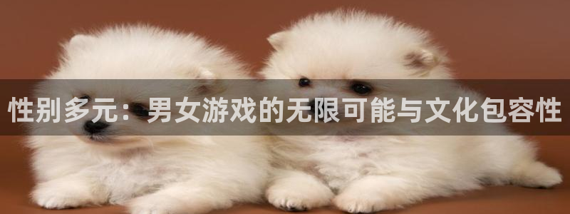 性别多元：男女游戏的无限可能与文化包容性