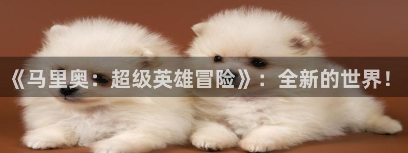 乐玩平台-APP下载：《马里奥：超级英雄冒险》：全新的世界！
