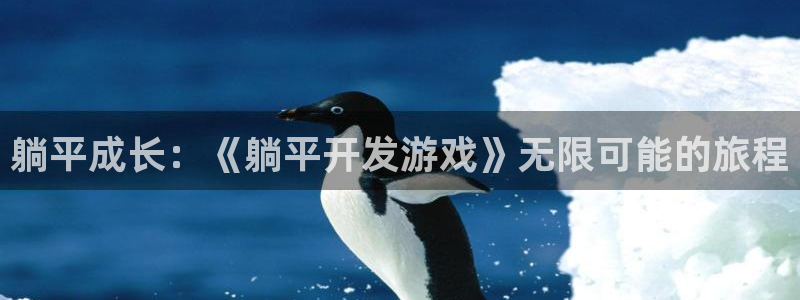 乐玩Game：躺平成长：《躺平开发游戏》无限可能的旅程