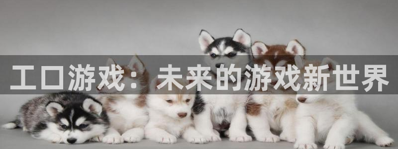 乐玩官网app下载安装：工口游戏：未来的游戏新世界