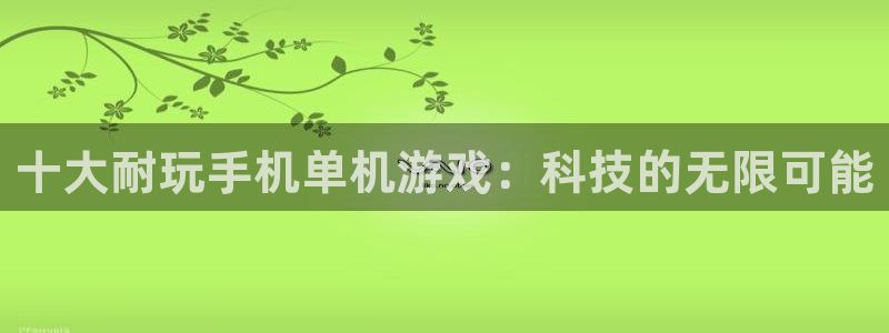 乐玩是什么软件做的：十大耐玩手机单机游戏：科技的无限可能