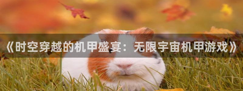 乐玩ios网页入口官网
