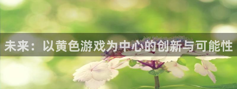 乐玩ios版下载：未来：以黄色游戏为中心的创新与可能性