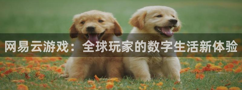 乐玩高地的视频：网易云游戏：全球玩家的数字生活新体验
