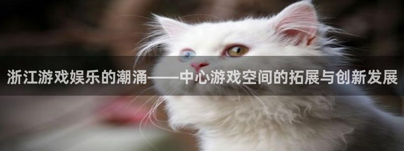 乐玩官网入口下载苹果版