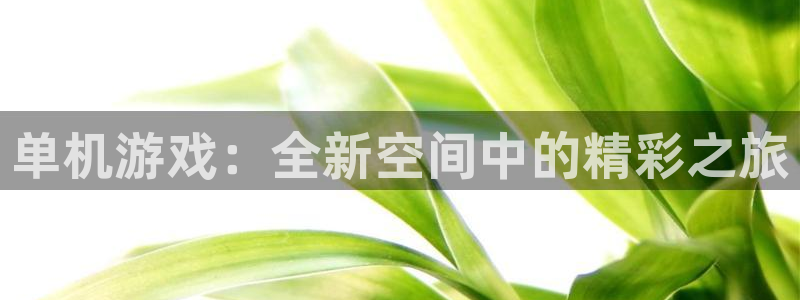 乐玩玩手游官网入口