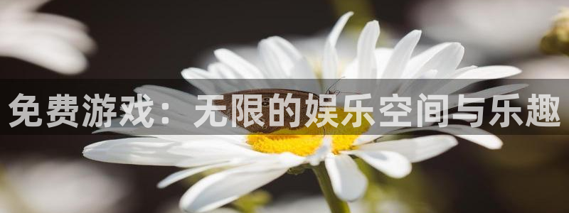 乐玩国际唯一官网入口