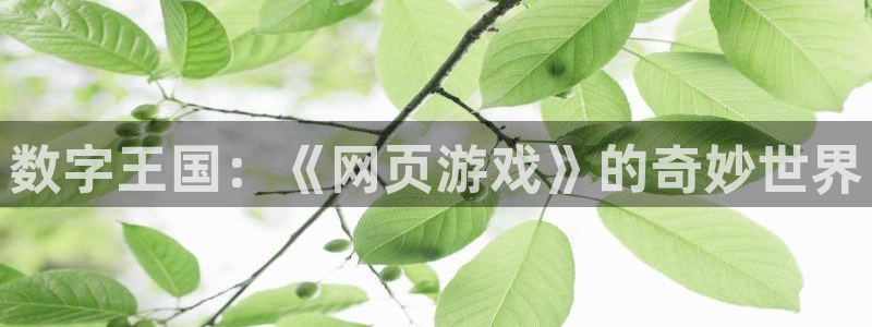 乐玩玩游戏平台：数字王国：《网页游戏》的奇妙世界