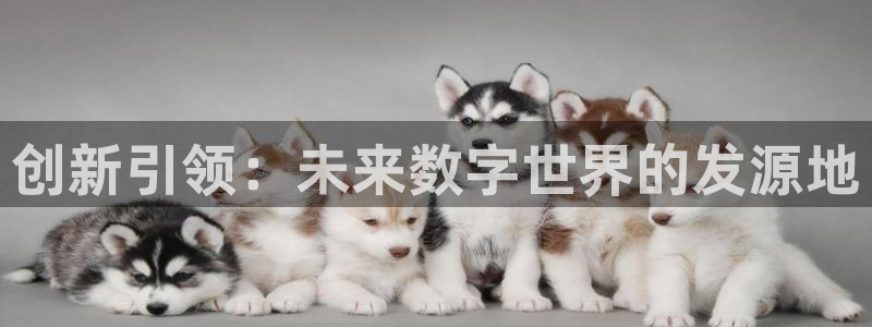 乐玩国际官方唯一入口网站：创新引领：未来数字世界的发源地
