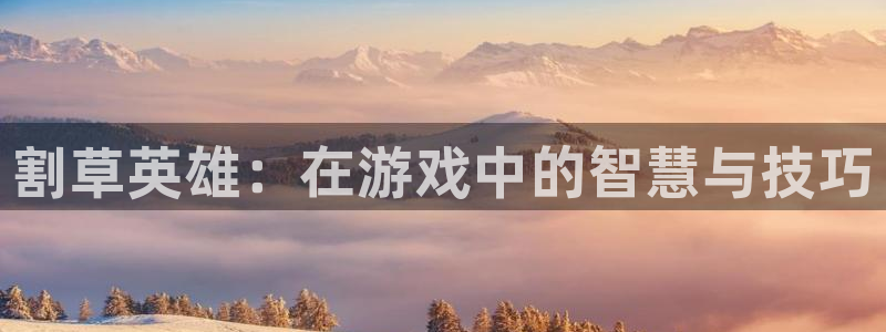 乐玩下载安装最新版